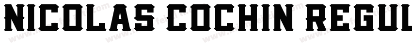 Nicolas Cochin Regul字体转换